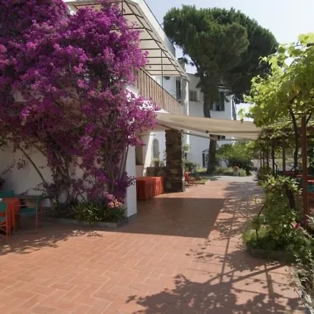 Hotel El Chico 4*